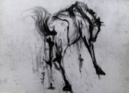 Charcoal Horse