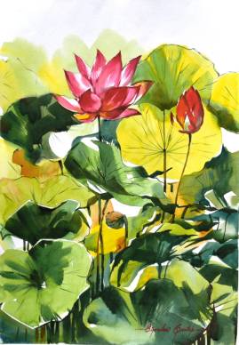 Lotus