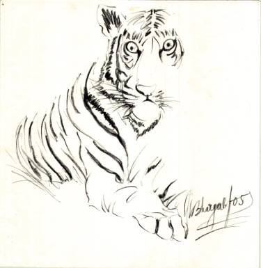 Sitting Tiger