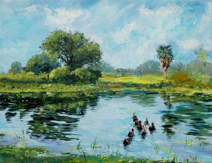 Floating Ducks