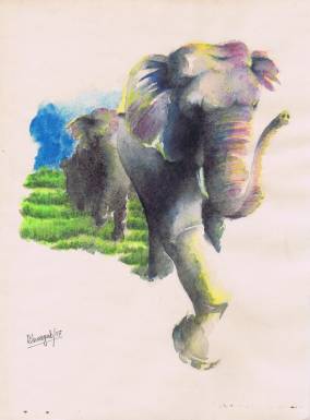The Elephant Journey